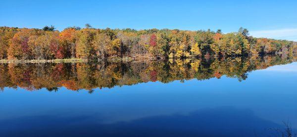 The glory of a New England Autumn