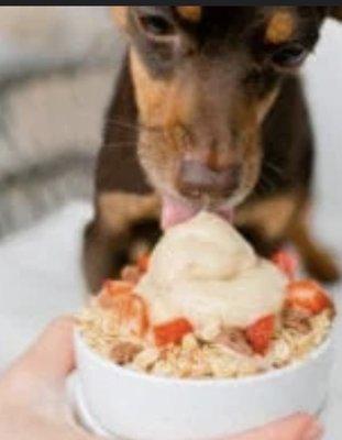 Pup sundaes