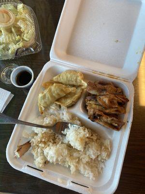 Chicken Teriyaki & Gyoza , Salad