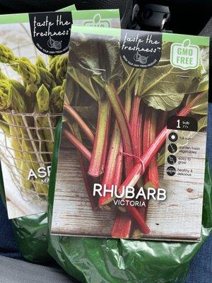 Rhubarb crowns and Asparagus starts. Bought 2 of each. Hope they grow!