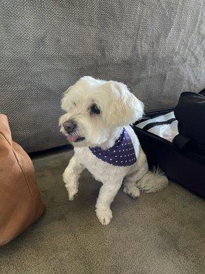 Lani (15) after her haircut on 8/9/24