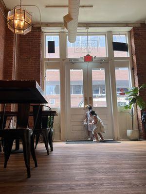 Fiddle leaf fig greeter