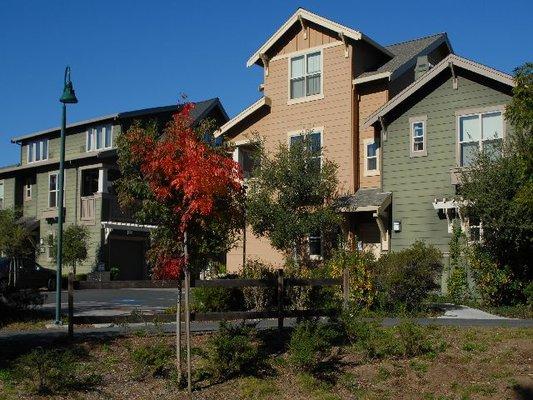 Stanford West Apartments