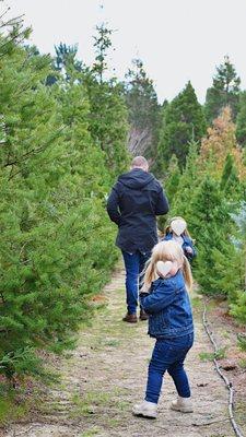 Reindeer Ridge Christmas Tree Farm