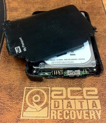 HDD chewed up by a puppy. 100% of data recovered.