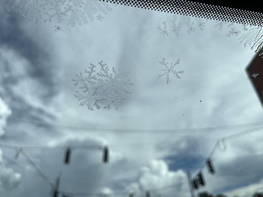 Windshield