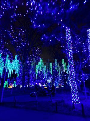 Zoo lights walkway