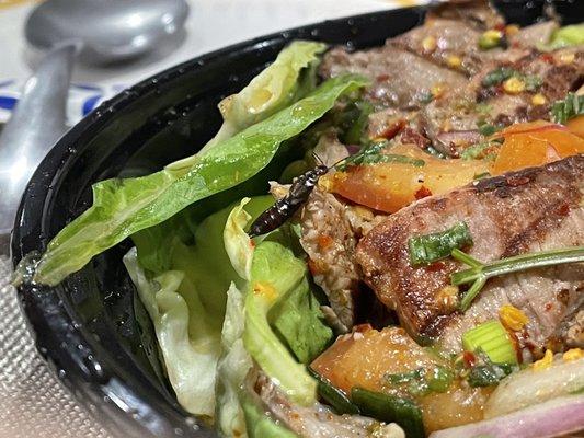 THAI BEEF SALAD WITH BUGS