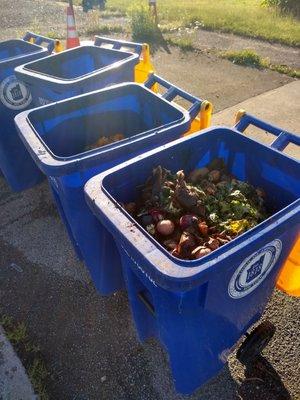 The community compost bins at Amherst Highway Department.