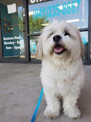 Waiting to be groomed