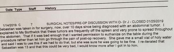 Photo story doctor wrong about dogs age going into surgery... and wanting to  Euthanize dog without even getting pathology back