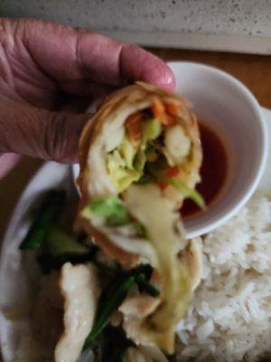 Egg roll is packed with veggies.