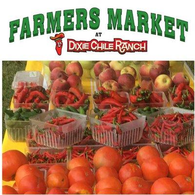 Saturday mornings from June through October at the  FARMERS MARKET at DIXIE CHILE RANCH (3135 E. Union Grove Rd, Kenton, TN 38233