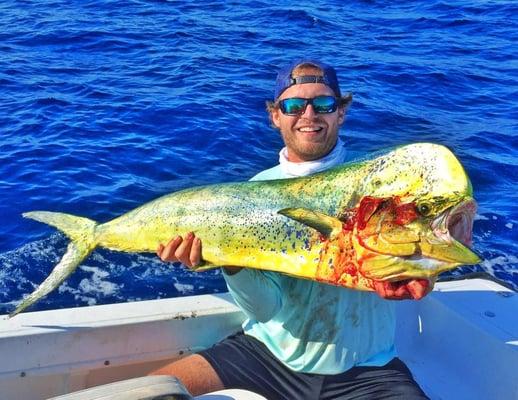 A big bull dolphin/mahi mahi