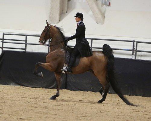 Whitney at California Futurity