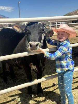 Fluffy the cow  who thinks she's a dog