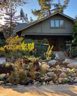 Rain garden designed and installed by Hardy Californians in Pasadena