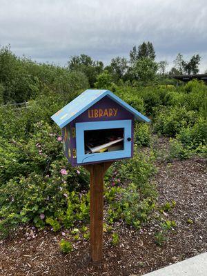 Little Free Library