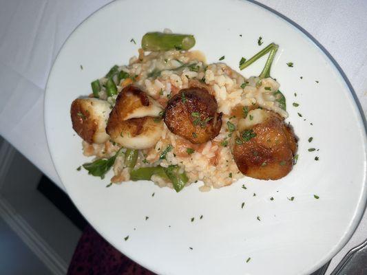 Scallops over risotto