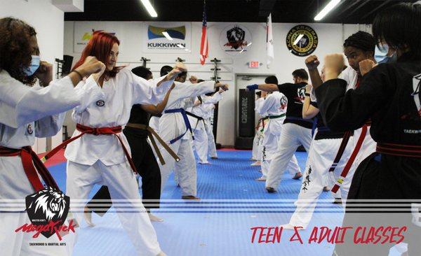 MegaKick Teen & Adult Classes - Ages 13+