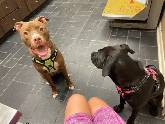 My happy boy and girl waiting for Dr. Lincoln