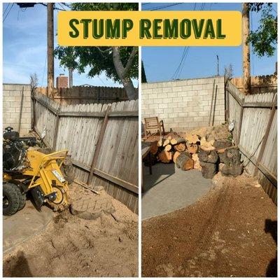 stump removal