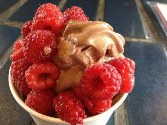 Small chocolate yogurt with raspberry topping