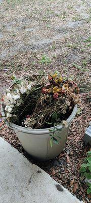 Trash can of collected dead flowers