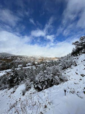 View from Yurt 1