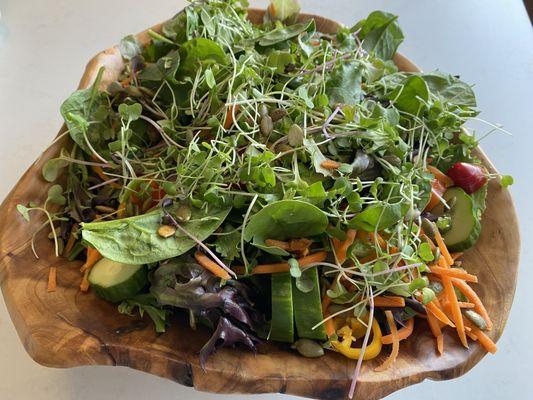 Summer Garden Salad