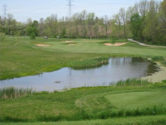 12th hole, The Bull