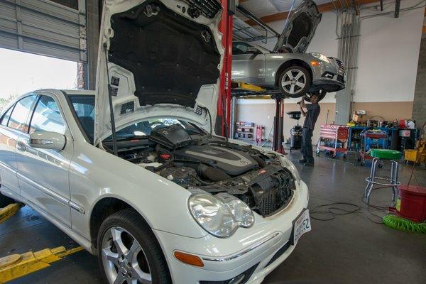 Mercedes master technicians - factory trained!