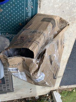 Another package delivered and destroyed by Ups