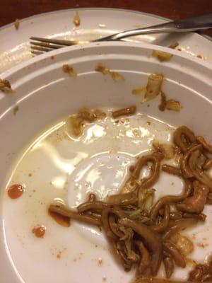 Horribly oily lo mein