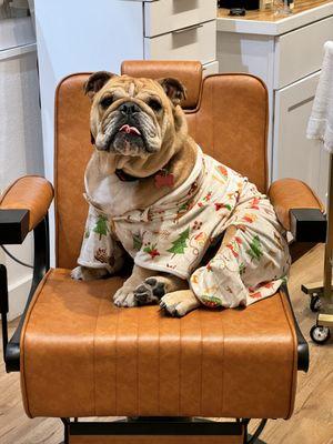 Cash, the shop dog, keeping my seat warm.