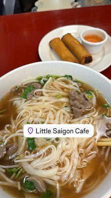 Combination Pho and Fried Egg Rolls