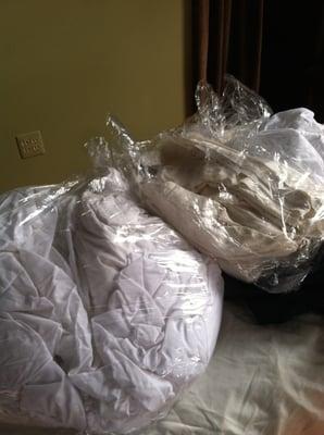 More "folded" sheet sets returned from Interbay Cleaners for which I was charged $174 (twice the normal going rate).