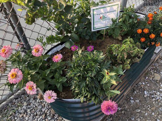 Grow Pittsburgh container flower garden outfitting   outdoor space