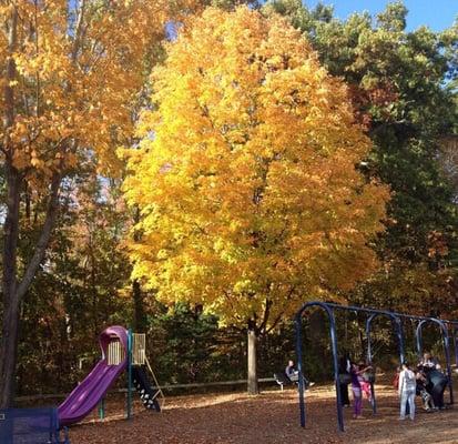 The park in the fall