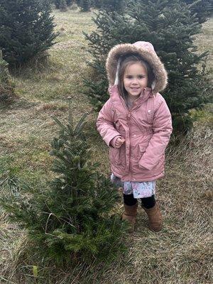 Evergreen Acres Christmas Tree Farm