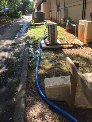 Ymca flood extraction, 300' hose run to sanitary waste removal category 3