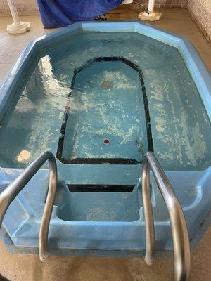 Hot tub ... this is just disgusting and sad! Not to mention a roof leak is dripping into it!!!