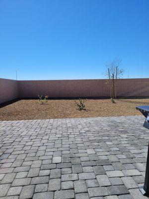 Paver patio with landscaping