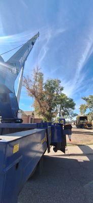 Eucalyptus tree - Hazard limb removal with crane.