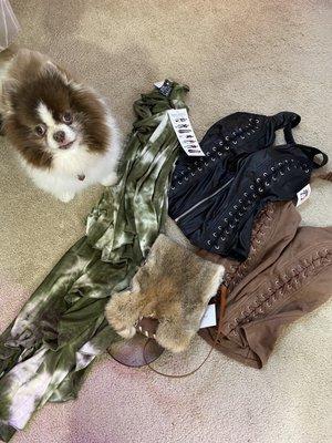 Part of the items I purchased!! (Doggie was not included )