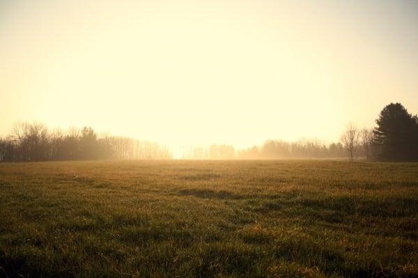 From the GTRLC website - Center Rd. by Chris Rogers