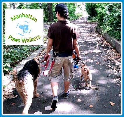 Manhattan Paws Walkers