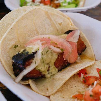 Pork belly taco