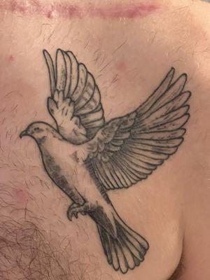 Very detailed dove tattoo done by Joey. Really cool and professional dude. Definitely recommend him for getting a tattoo done. Amazing job.