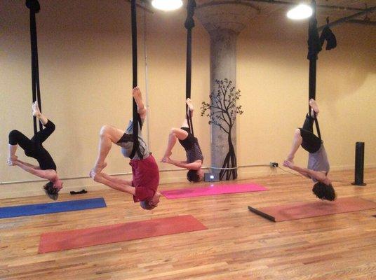 Hanging pigeons, Aerial Yoga